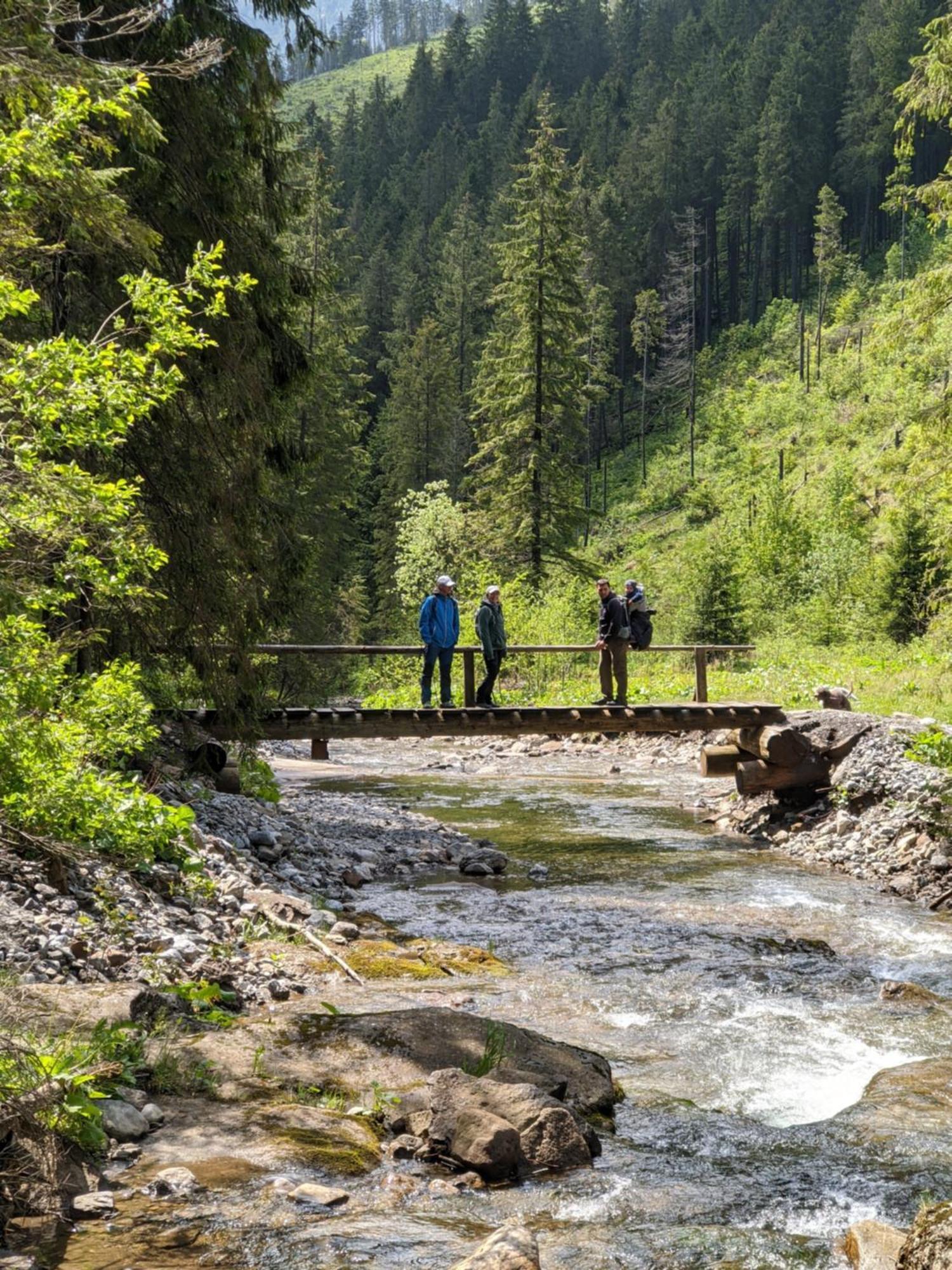 Apartmany Lesy A Luky - V Srdci Tatier Vysoké Tatry المظهر الخارجي الصورة