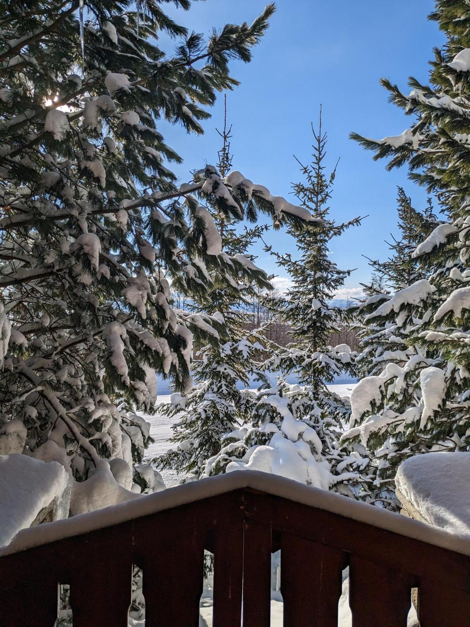 Apartmany Lesy A Luky - V Srdci Tatier Vysoké Tatry المظهر الخارجي الصورة